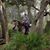 Tracey O'Neal Bertram's profile image