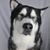 Jennifer Weibring's profile image