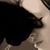 Elena Kaplan's profile image