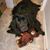 Marleen Ellen's profile image