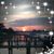 Marilyn Raines's profile image