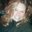 Joanne R.'s profile image