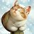 Jerriann Maine's profile image