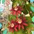 Mohana Raje's profile image