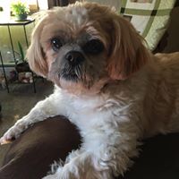 Kim Whitted's profile image