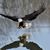 Sharon Lemke's profile image