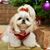 Janis Dockery Berry's profile image
