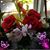 Tami Schuessler's profile image