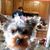 Dawn Tobey's profile image