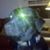 Guy Miller's profile image