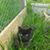 Lisa Bentleyclark's profile image
