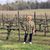 Kim Ramsbotham Hastings's profile image