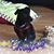 Glenda Marcell Smith Strunk's profile image