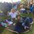 Debra Wiley's profile image