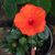 Shelly Markum Gwin's profile image