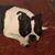 TJ Souriolle's profile image