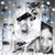 Tammy Taylor's profile image