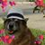 Chelsea Ackley's profile image