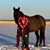 Elizabeth Hurrie Wouters's profile image