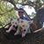 Carlos E. Cucalon's profile image
