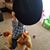 Holly Gibson's profile image
