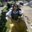 Mary Severdia's profile image