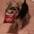 Jackie Reali's profile image