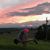 Angela Stauffer Widmer's profile image