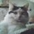 Marcia Foxworthy's profile image