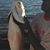 Daryl D Washington's profile image