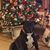 Jennifer Baier's profile image