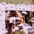 Molly Collins's profile image