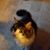 Jim McChesney-Howard's profile image