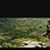 Michele Smith's profile image