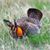 Jim Bigham's profile image