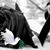 Genaro Fuentes Quintana's profile image