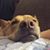 Heather Lassuy's profile image