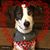 Tammy Annichiarico's profile image