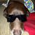 Debbie Clark's profile image
