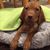 Brenda Schwartz Lunz's profile image
