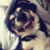 Amber Nicole Payne's profile image