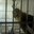 Shannon Hammell's profile image