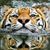 Eileen Mahan's profile image
