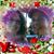 Karen Brasiel Mitchell's profile image