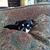 Carolyn Houser Talberg's profile image