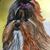 Lynn Pope's profile image