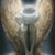 Leda Boal's profile image