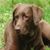 Jeff Quinn's profile image