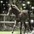 Patty Flack Sweisberger's profile image
