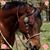 Deanna Rowe's profile image